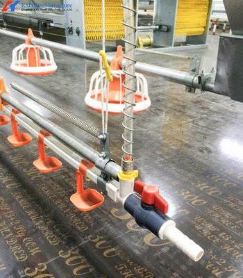 مزرعة الدجاج الفولاذية المخصصة مبنى مزرعة الإطار الفولاذ الخفيف