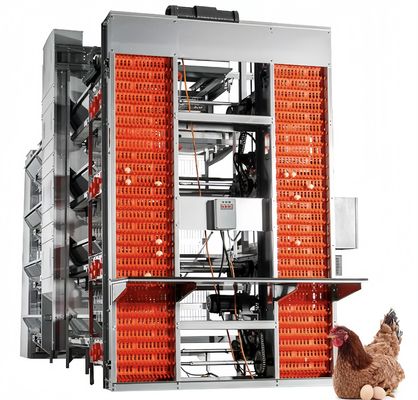 نوع بطارية طبقة قفص الدجاج الآلي الدجاج المعدات تربية الدواجن
